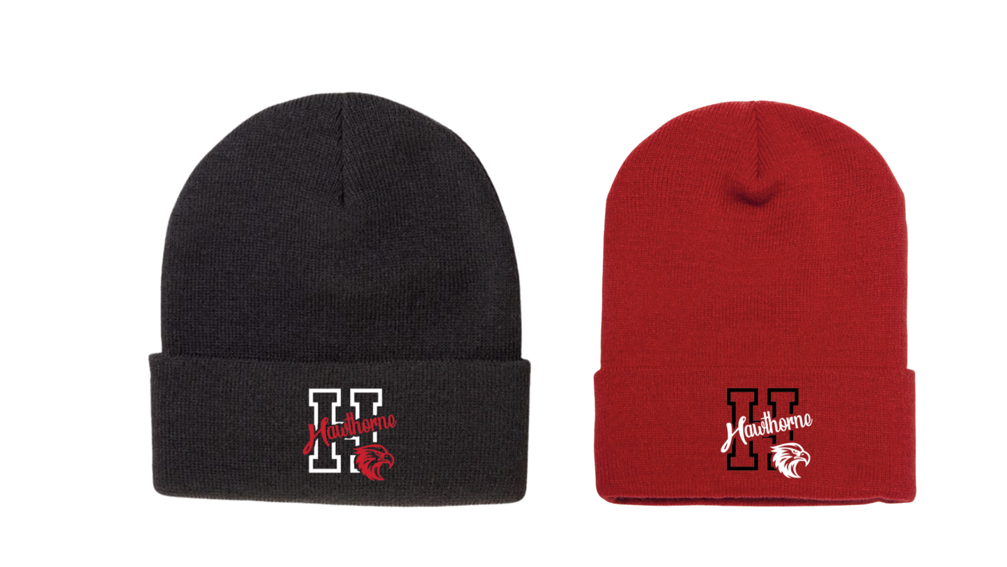 Hawthorne winter hat