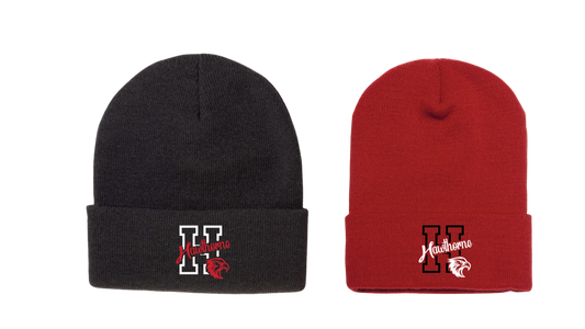 Hawthorne winter hat